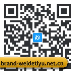 Apple 移动终端版 二维码
